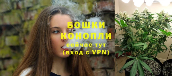 не бодяженный Ельня