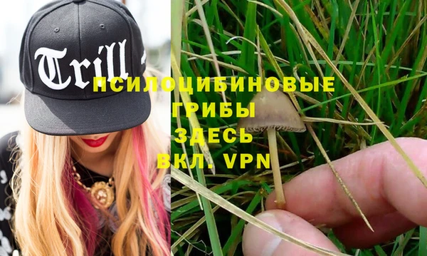 не бодяженный Ельня