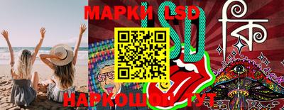 mdpv Брянск