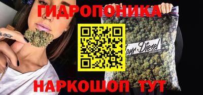 твердый Братск