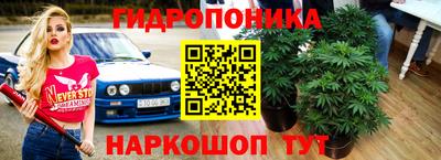 сатива Боровичи